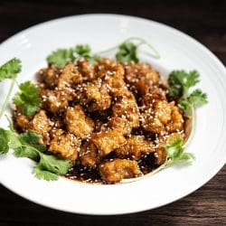 Dumpling Kitchen – Castro